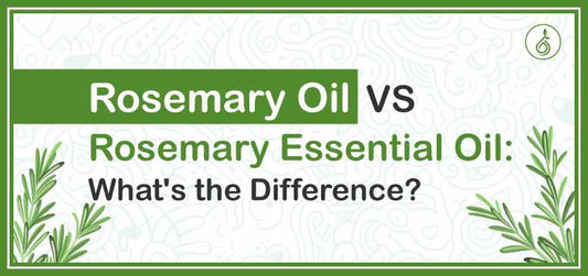 Rosemary Oil Vs. Rosemary Essential Oil: What's the Difference?