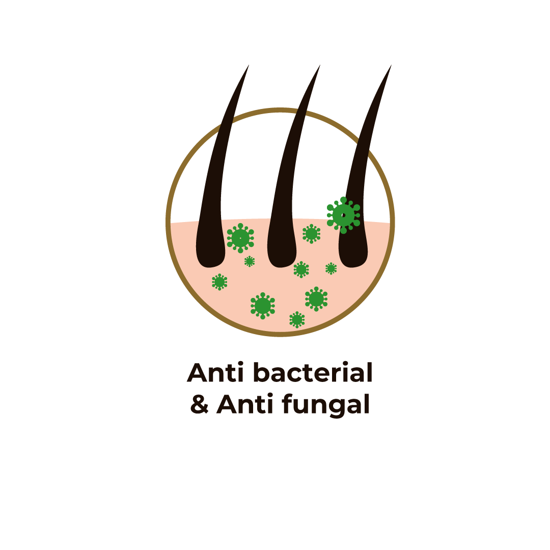 Hair Affairs by MS