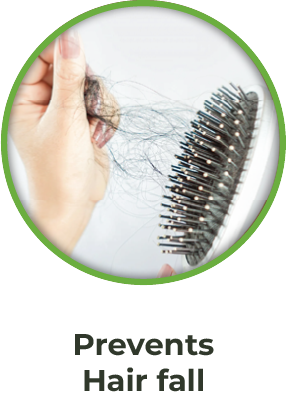 Hair Affairs by MS