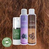 Frizzy and Dull Hair Bundle