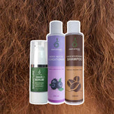 Frizzy and Dull Hair Bundle