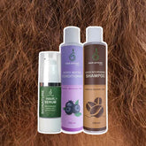Frizzy and Dull Hair Bundle