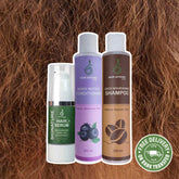 Frizzy and Dull Hair Bundle