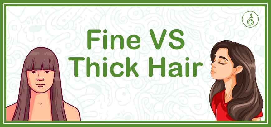 Fine Hair Vs Thick Hair