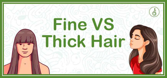 Fine Hair Vs Thick Hair
