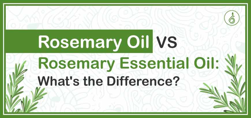 Rosemary Oil Vs. Rosemary Essential Oil: What's the Difference?